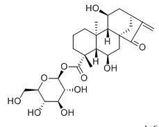 等效-6，11-二羥基-15-氧代-16-貝殼杉烯-19-酸BETA-D-吡喃葡萄糖酯