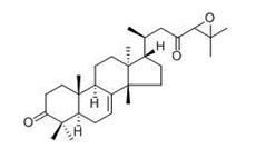 24，25-环氧基甘遂-7-烯-3，23-二酮