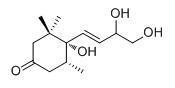 6，9，10-三羟基-7-巨豆烯-3-酮